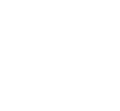 Basketball Champions League