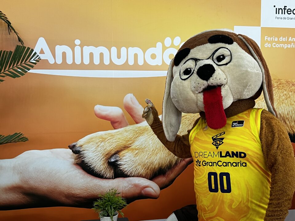  presente en la séptima edición de Animundo","Mascota del Club Baloncesto Gran Canaria en la feria Animundo, junto a manos de un perro.